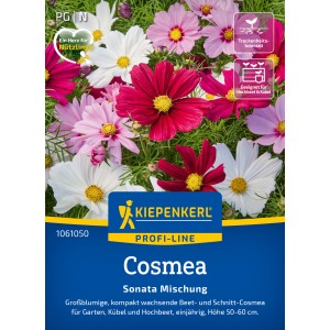 Kiepenkerl Schmuckkörbchen Sonata: Mischung aus rosa, weißen und karminroten Cosmea Blüten.
