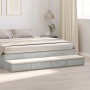 vidaXL Bettschubladen Betongrau aus Holzwerkstoff mit Schubladen und Sitzflächen unter modernem Bett.