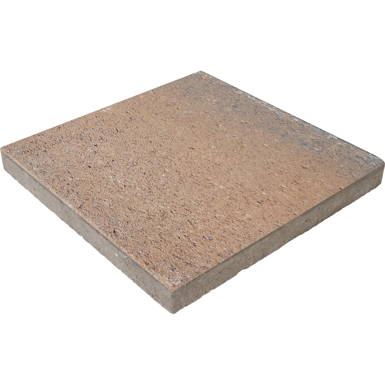 EHL Terrassenplatte Loreto Muschelcreme T x B x H: 50 cm x 50 cm x 5 cm