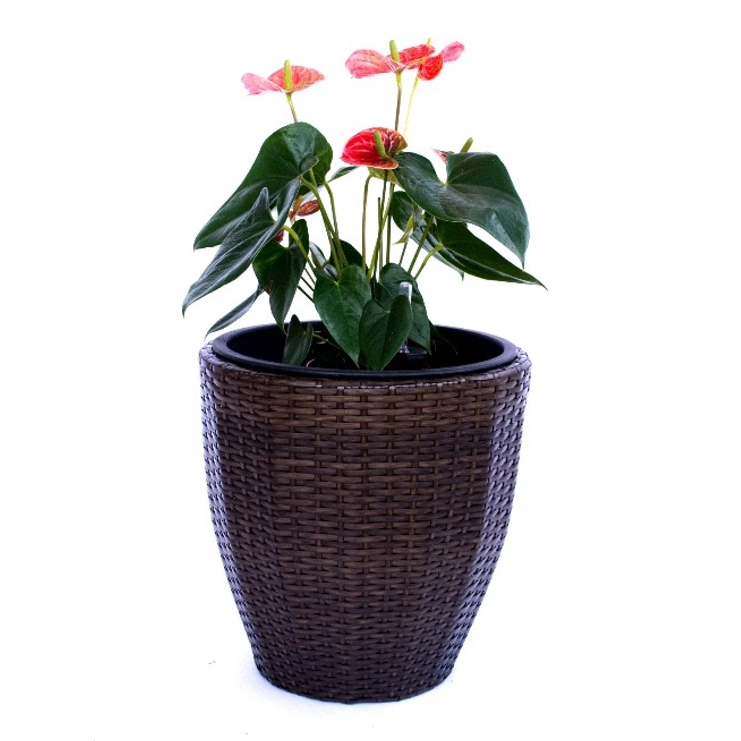 Elegant Einrichten Pflanzkübel Polyrattan Rund-Konisch D46xH46cm Mocca günstig online kaufen