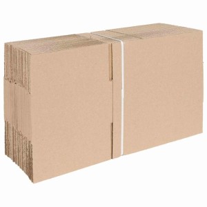 vidaXL Faltbox mit Speicher 50 Stk Natur 25 x 17,5 x 10 cm Karton 4106566