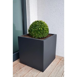 Anthrazitfarbener Vivanno Pflanzkübel Block 40x40x40 cm mit Bepflanzung.