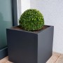 Anthrazitfarbener Vivanno Pflanzkübel Block 40x40x40 cm mit Bepflanzung.