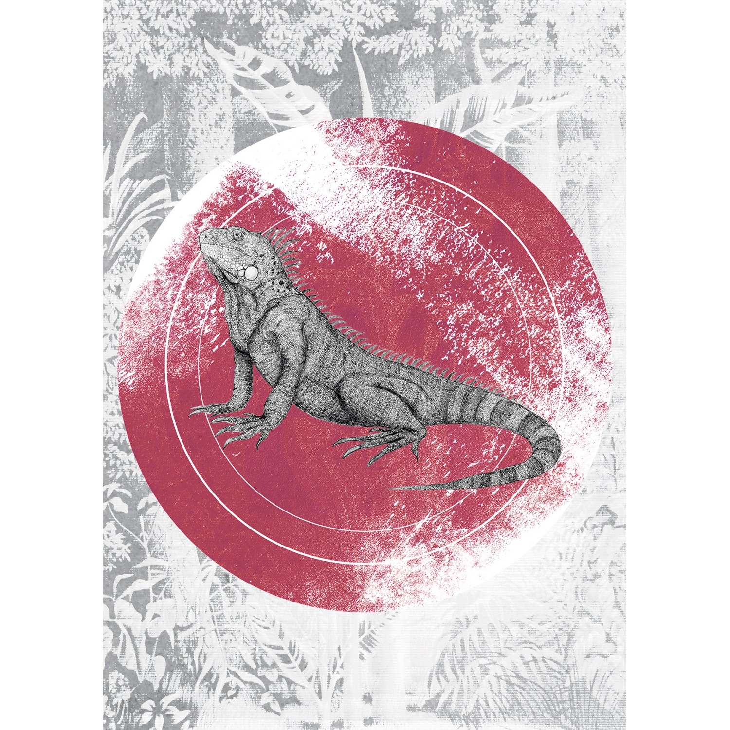 Komar Wandbild Iguana Circle 50 x 70 cm