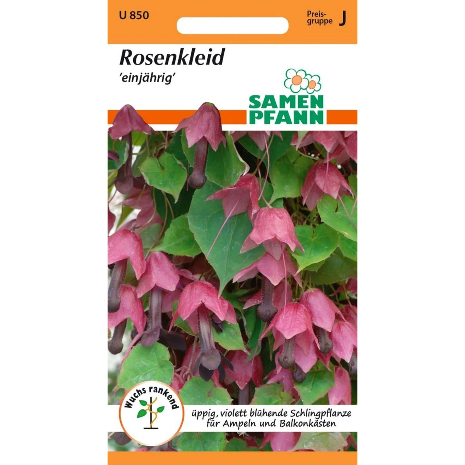 SAMEN PFANN Rosenkleid Rhodochiton