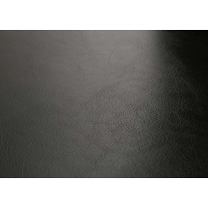 CHEFGASTRO Esszimmerstuhl 2er-Set Klassisch & Zeitlos 90x43x56cm Sitzhöhe 45cm Leder Helle Beine Schwarz