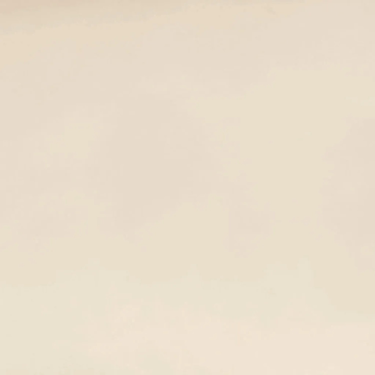 Bestlivings Flächenvorhang Ellen, beige, ohne Zubehör. Ideal als Fenstervorhang oder Raumteiler.