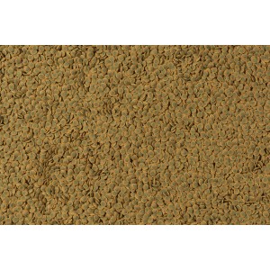 Tetra Pleco Veggie Wafers: Fischfutter-Pellets mit Zucchini für Welse und andere Zierfische.