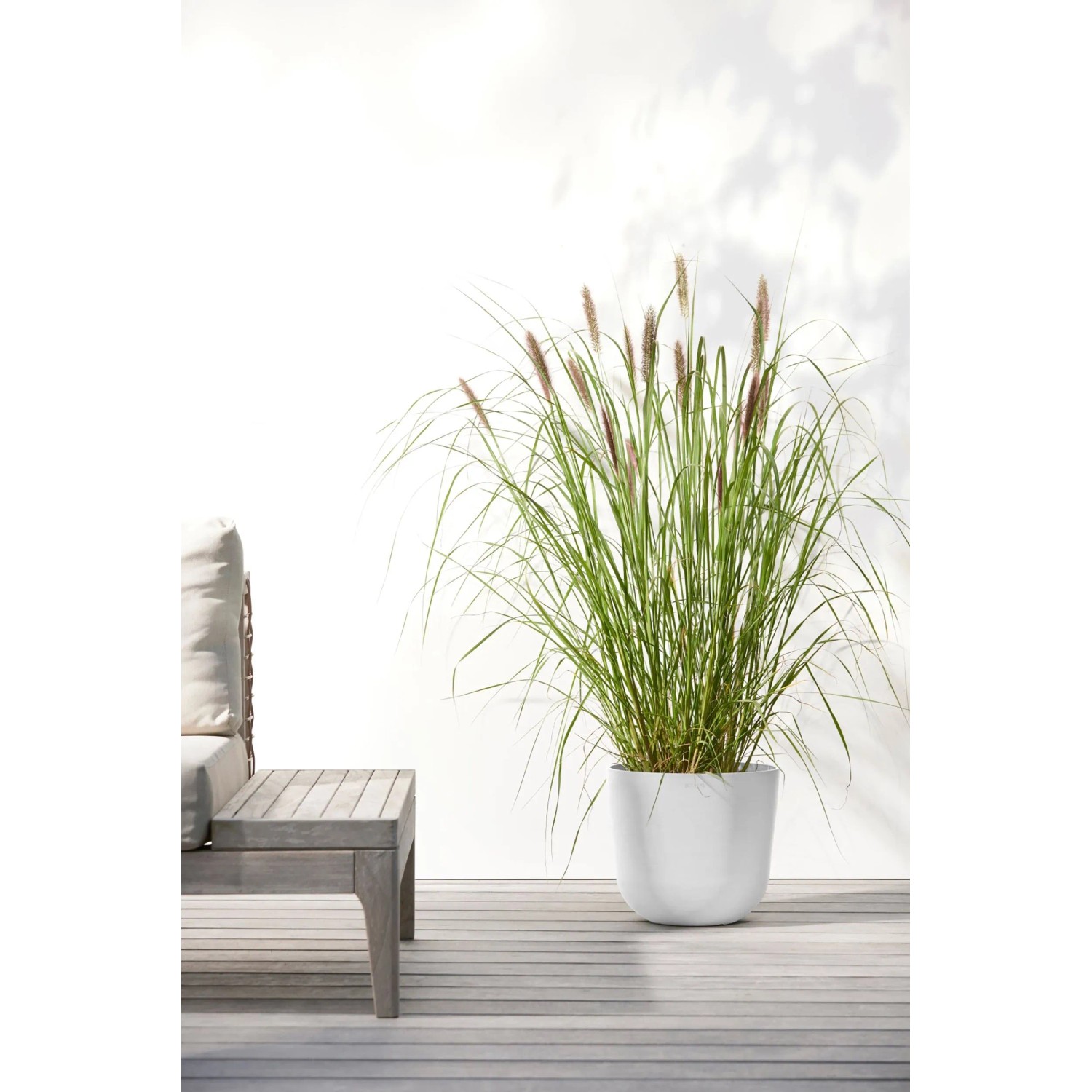 Weißer Ecopots Pflanztopf Oslo, 25 cm, mit hohem Gras auf einer Terrasse.