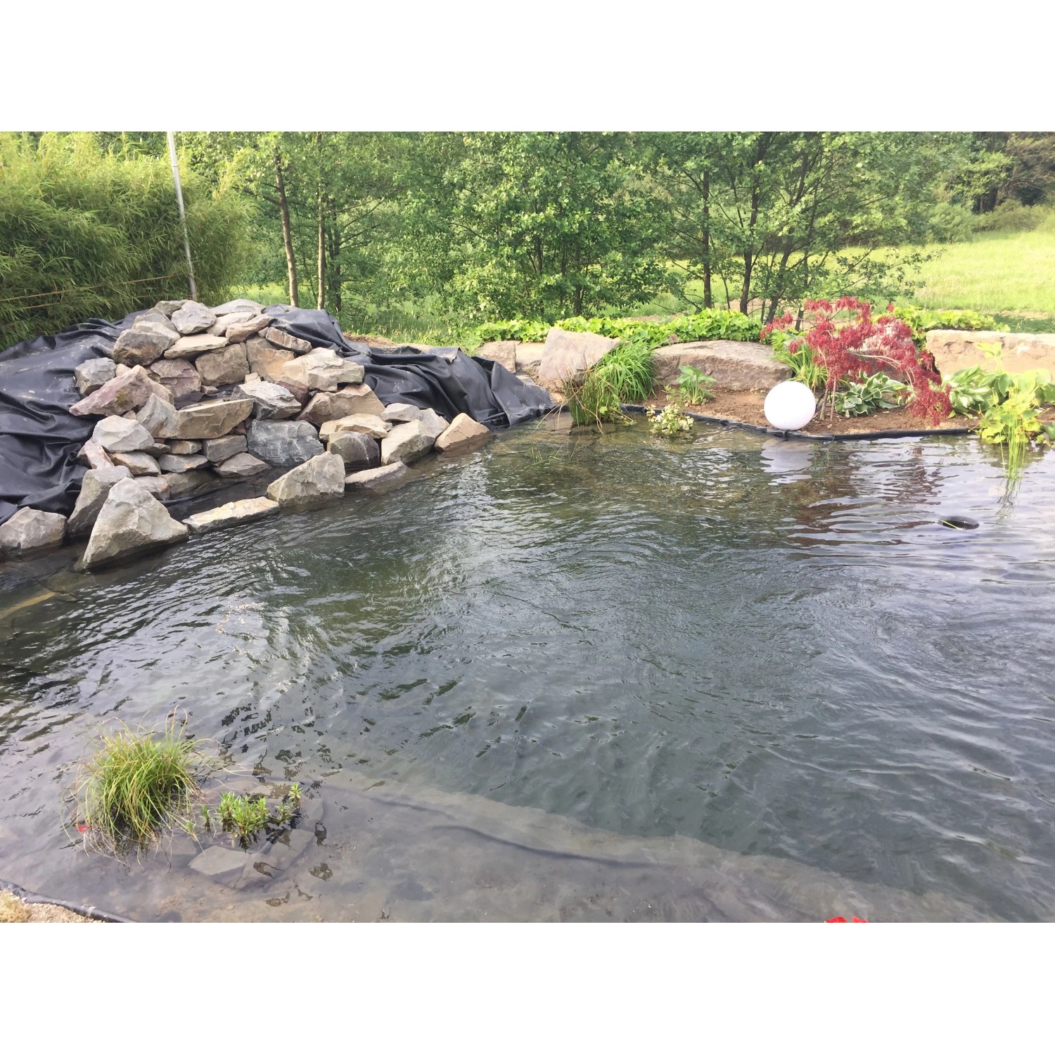 Gartenteich mit schwarzer Aquagart PVC Teichfolie, Steinen und Bepflanzung.