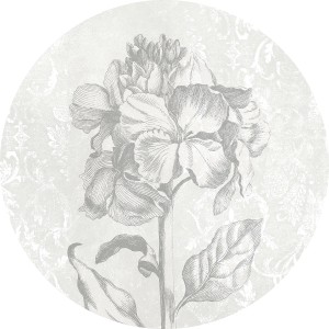 Komar Vlies Fototapete Barock Beauty, selbstklebend, Ø 125 cm, florales Muster.