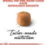 Krokette Royal Canin Maine Coon Adult Katzenfutter Trocken, speziell für große Katzenkiefer.