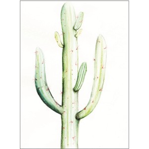 Komar Wandbild: Aquarell-Kaktus Saguaro, 40x50 cm. Dekoratives Bild für Wohnräume.