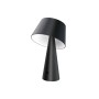 Dimmbare LED Solarleuchte Lirinor in Schwarz für Garten & Terrasse.