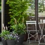Elho Blumentöpfe Vibia Campana, Ø 20cm, Anthrazit, mit Pflanzen auf einer Terrasse.