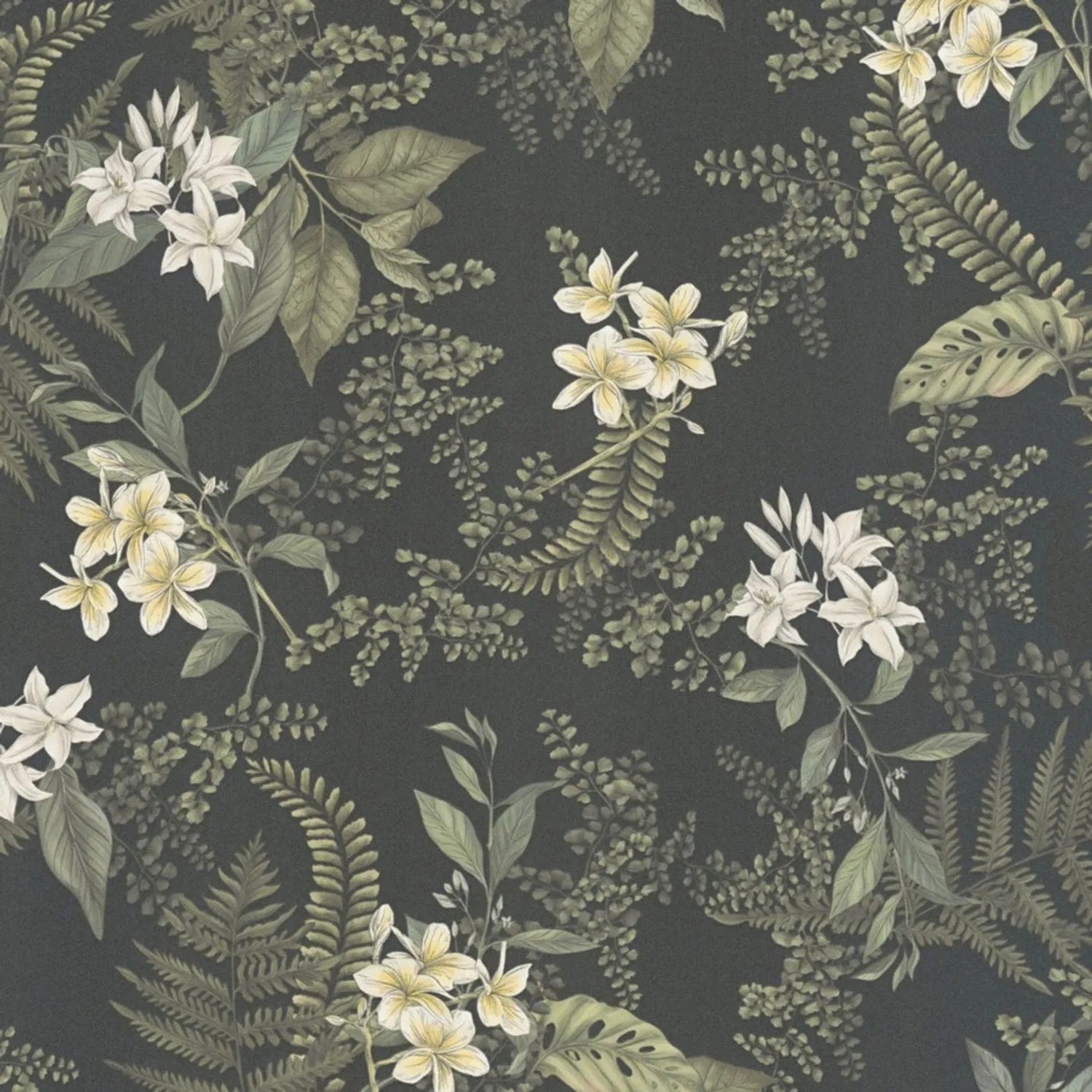 Tadessi Tapete Floral M1-No.4491 Vliestapete in Schwarz