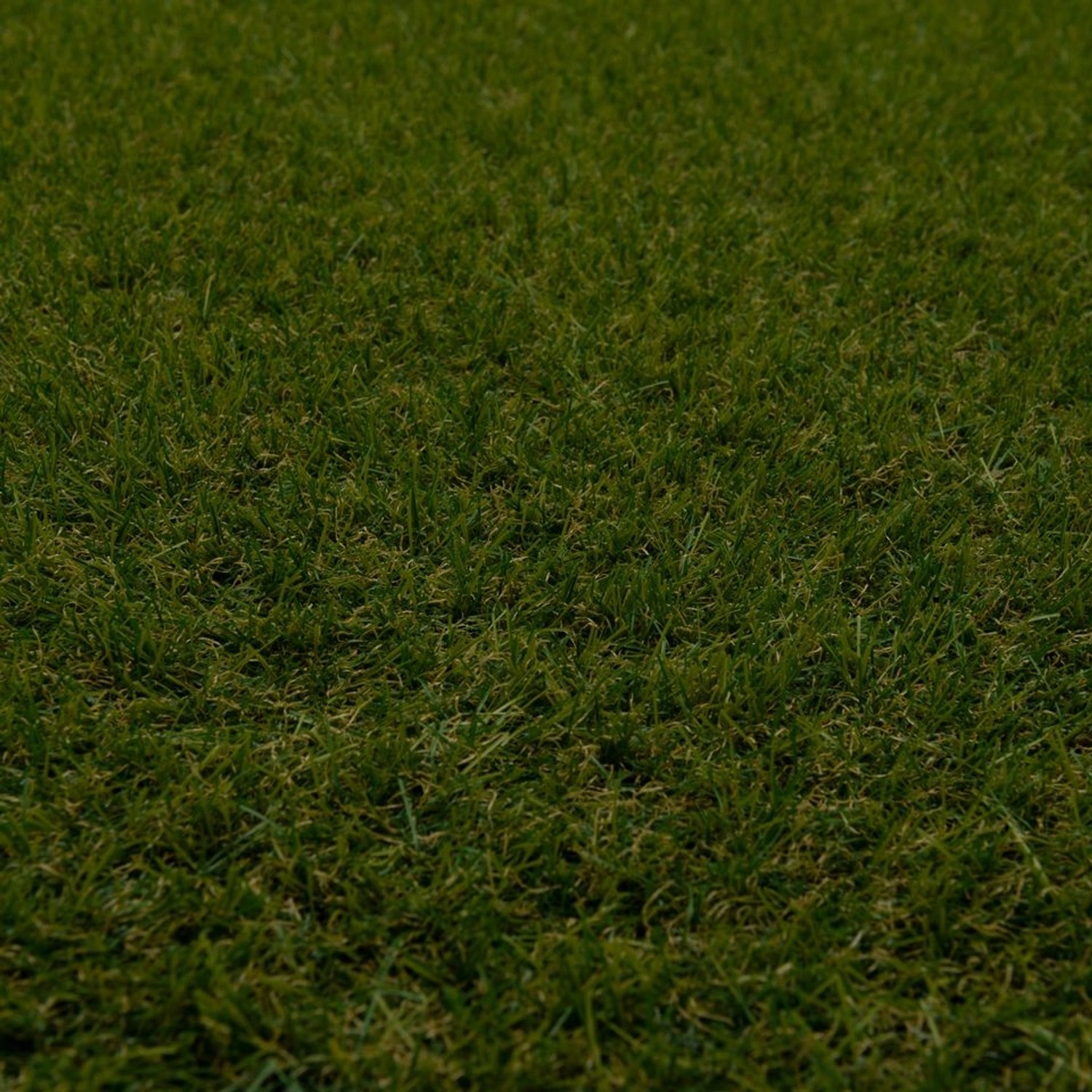 Detailaufnahme: Runder, grüner Snapstyle Kunstrasen "Chelsea", 133x133cm. Ideal für Balkon und Terrasse.