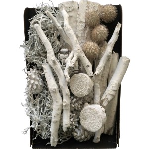 Bastelmix: Getrocknete Blüten, Zapfen, Moos in Weiß für Deko & DIY Projekte.