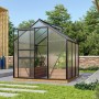Vitavia Gewächshaus Venus 3800, schwarzer Rahmen, 3,8 m², im Garten.