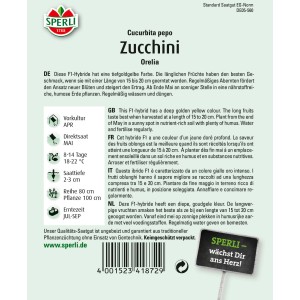 Samenpackung Sperli Zucchini Orelia, goldgelbe Zucchinisorte für frühe und lange Ernte.