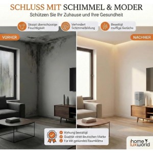 HomeLuxWorld Kompakter Designer-Luftentfeuchter in Grau