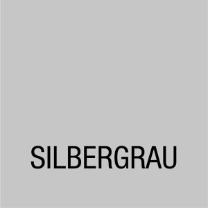 Farbfeld der Bondex Dauerschutz-Farbe in Silbergrau, seidenglänzend.