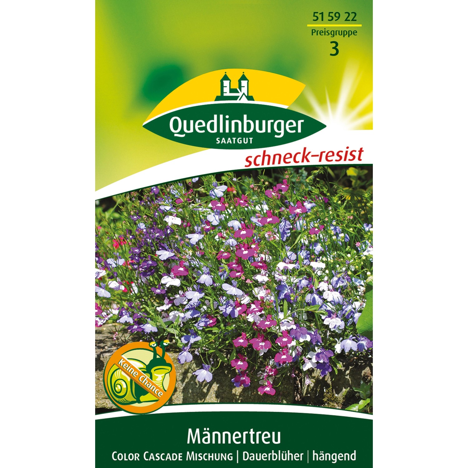 Quedlinburger Männertreu ''Color Cascade Mischung'' günstig online kaufen