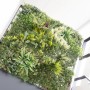 Dichte, realistische Primaflor Kunsthecke Jade 100x100cm mit grünen Blättern. UV-beständige Pflanzenwand für Innen & Außen.