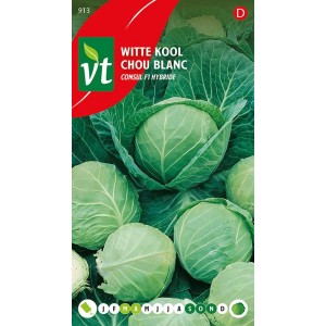 Weißkohl 'Consul F1' Saatgut ca. 0,3 g Knackig