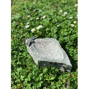 Insektentränke aus Granit mit Libelle, Vogeltränke für Insekten im Garten.