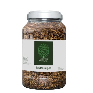 Insektus Seidenraupen Fischfutter im 2L Vorratsbehälter.
