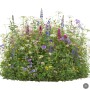 Üppige Wildblumenmischung mit bunten Blüten in Lila, Blau, Pink, Gelb und Weiß. Perfekt für eine blühende Wiese.