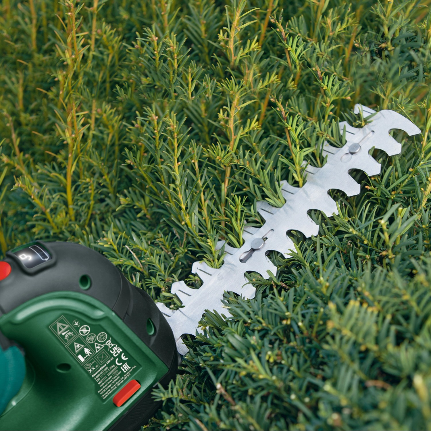 Bosch AkkuGras und Strauchschere AdvancedShear bei OBI