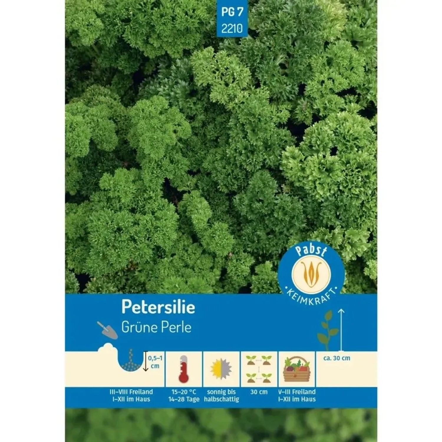 Pabst Keimkraft Petersilie Gekraust & Treibfähig Grüne Perle Saatgut