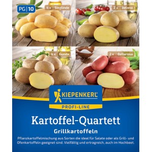 Kiepenkerl Pflanzkartoffel Quartett Grillkart.,12St