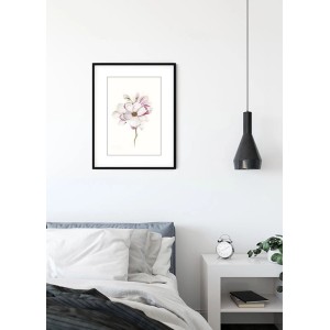 Wandbild Magnolia Blossom (40x50 cm) im schwarzen Rahmen mit Magnolienblüte.