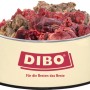 Dibo Hunde-Barf Spezial 2kg im Napf: Frostfutter mit Rindfleisch, Pansen und Blättermagen.