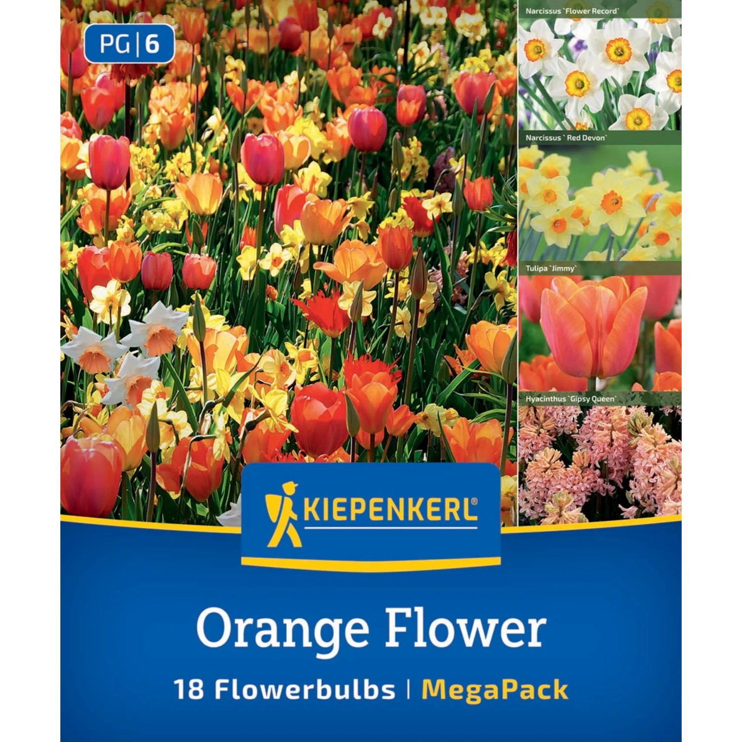 Kiepenkerl Blumenzwiebel Mega Pack Orange Flower 18 Stück
