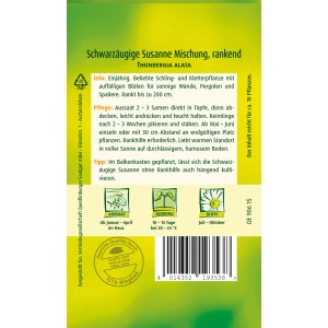 Samenpackung Schwarzäugige Susanne Mischung, Kletterpflanze für sonnige Standorte.