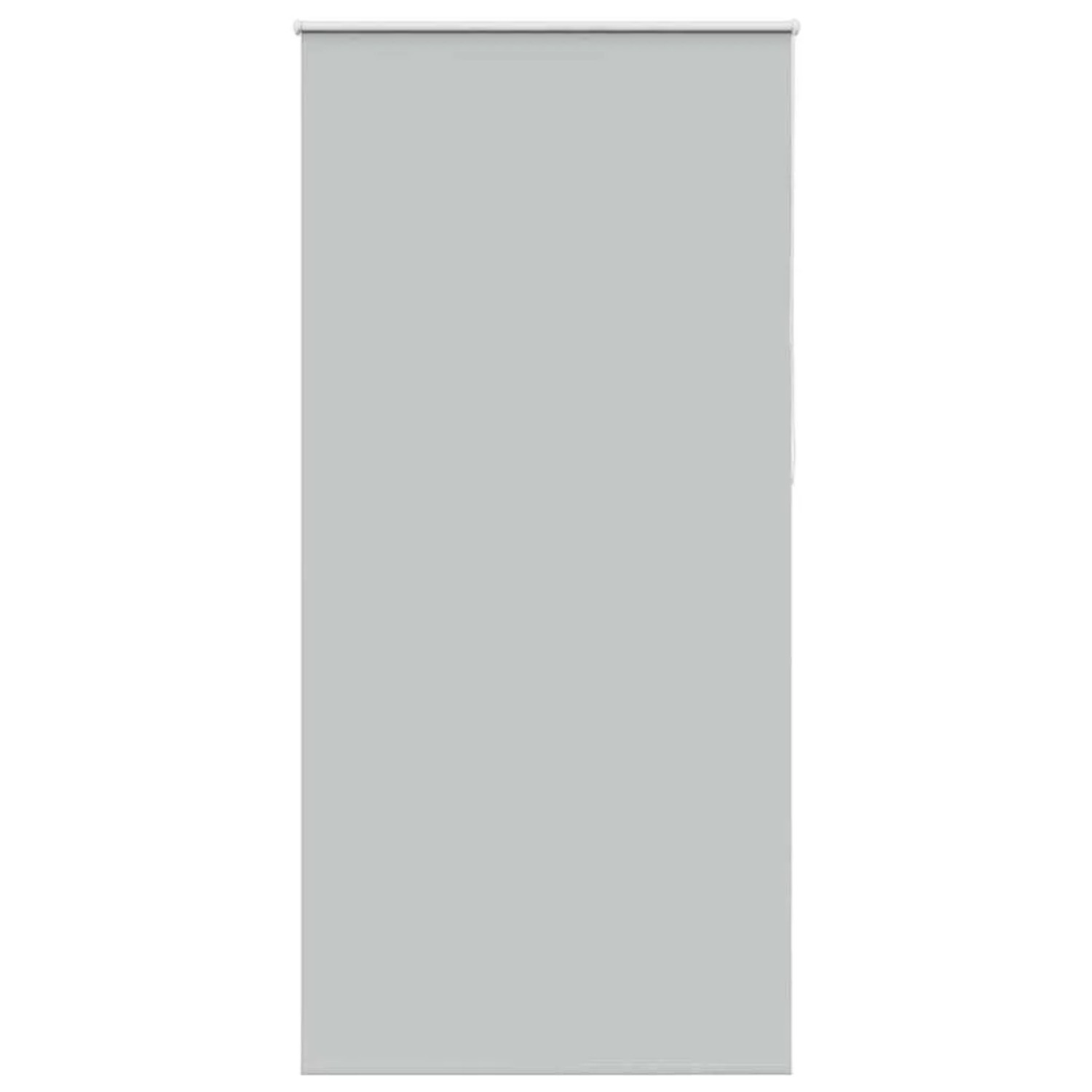 vidaXL Verdunkelungsrollo Hellgrau 110x210cm Stoffbreite 105,7cm 4011442 günstig online kaufen