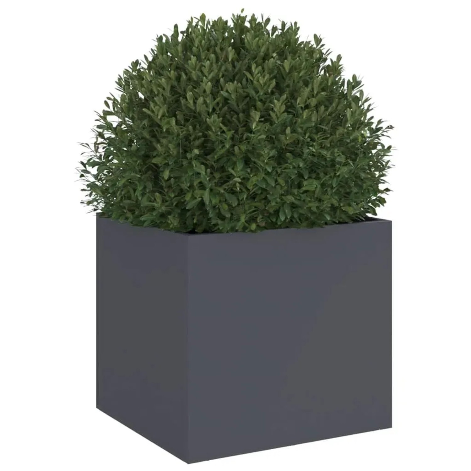 Quadratischer Pflanzkübel aus anthrazitfarbenem Stahl mit grüner Pflanze. Ideal für Garten, Balkon.