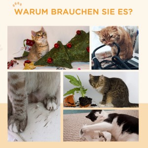 Collage: Katzen, die Kabel zerkauen, an Möbeln kratzen und mit Pflanzen spielen. Warum ein Katzenlaufrad sinnvoll ist.