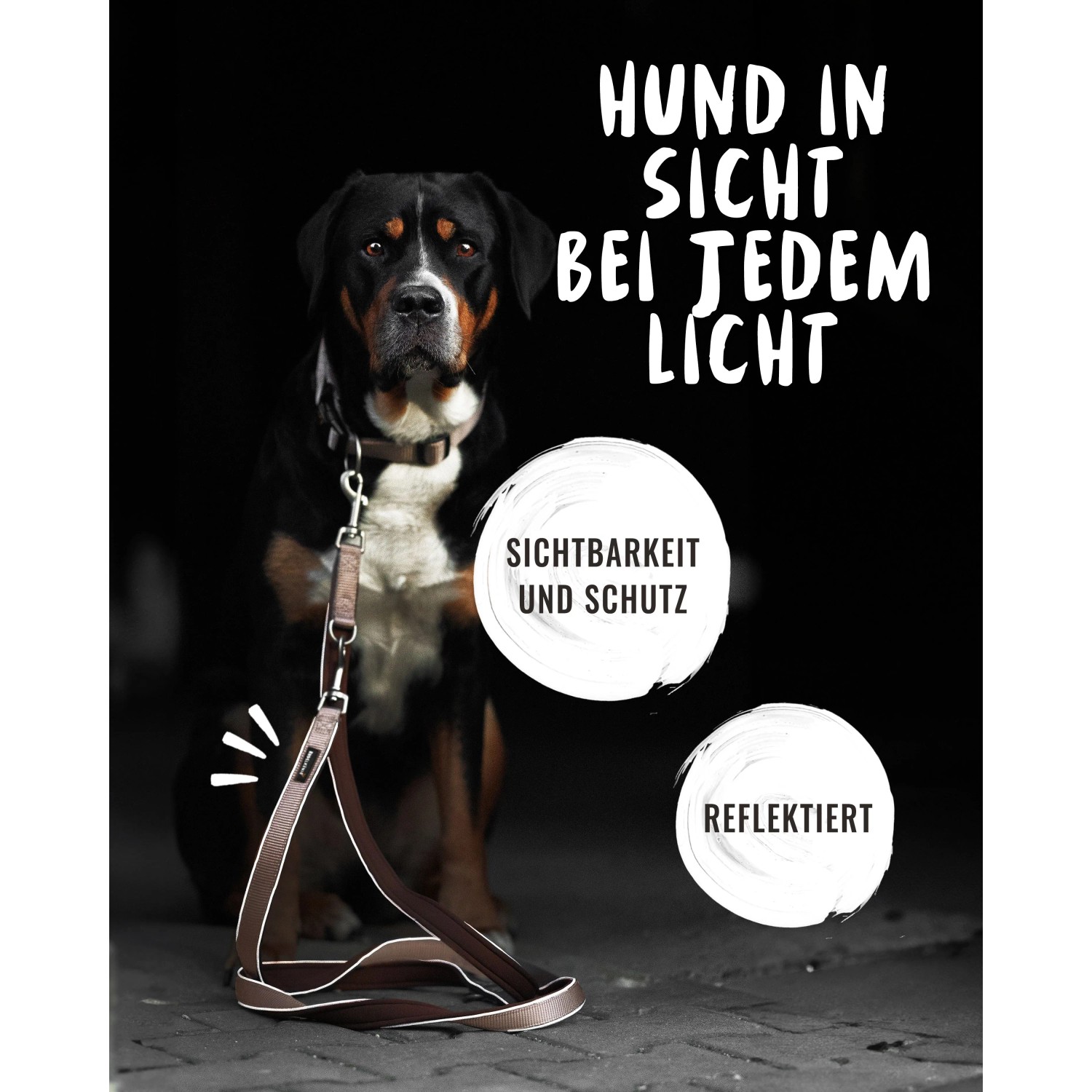 Verstellbare Rudelkönig Hundeleine Paola, 20 mm breit, 230 cm lang, rosefarben.