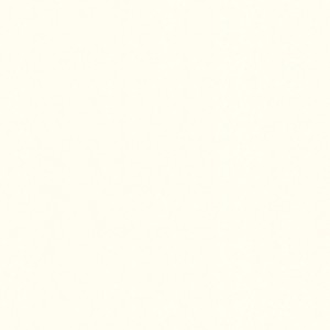 Uni Vliestapete in Matt Weiß mit leichter Struktur.