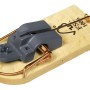 Swissinno FSC® Holz-Mausefalle (2er-Pack) mit Auslösemechanismus und Drahtbügel.