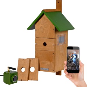 Dobar Holz-Nistkasten mit grünem Spitzdach, HD-WiFi-Kamera, austauschbaren Einfluglöchern und App-Ansicht von Vogelküken.