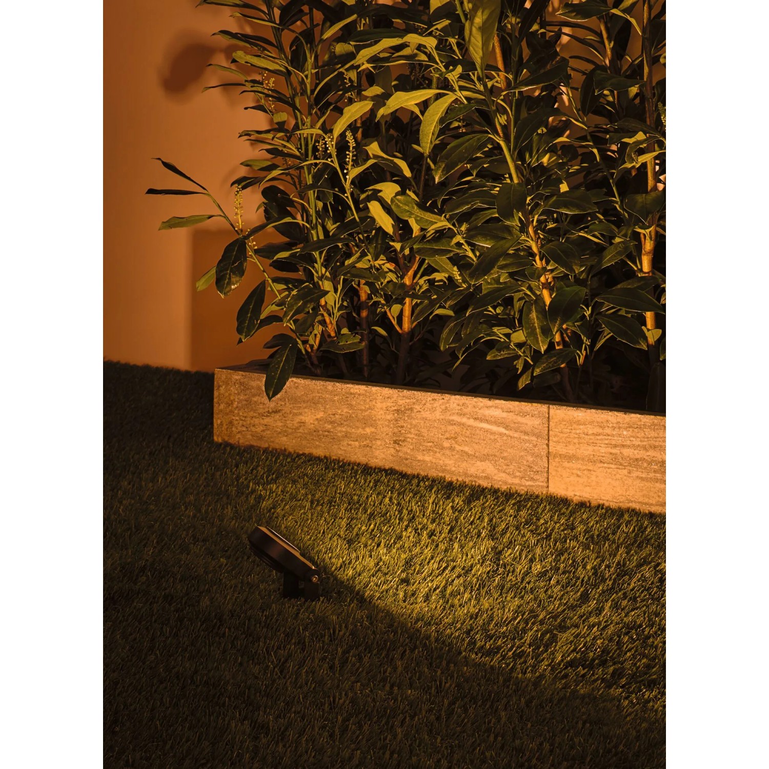 Paulmann LED-Gartenstrahler Sting Plug & Shine (3er Set) im Einsatz, insektenfreundliches Licht.