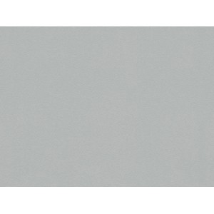 A.S. Creation Vliestapete in Grau mit glatter Oberfläche und feiner Struktur.