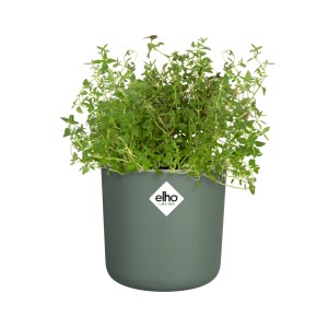 Elho Kräutertopf Happy Herbs, Ø 14 cm, laubgrün, mit Kräutern bepflanzt.