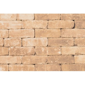 Diephaus Mauerstein Collo Marlo Sandstein, Ansicht einer errichteten Mauer.